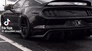 Car lover of Mustang