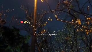 Janana Zama tana zar Sha ma zo Pashto# song