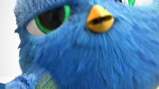 Bird cute