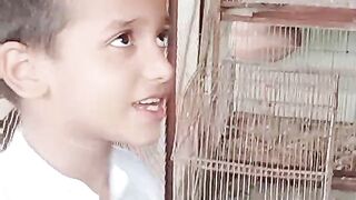 Birds food 2