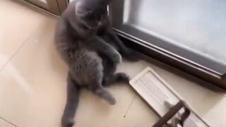 Cartoon Vs Reality | Tom and Jerry | #cartoon #tomandjerry