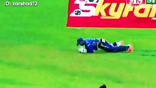 Dhani takes wicket