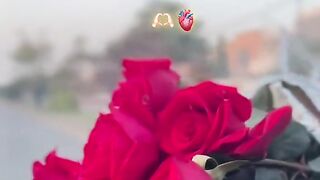 Love is beautiful 4