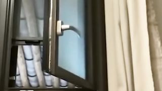 Funny animals - Funny cats and dogs - Funny animal videos 2023???? 4