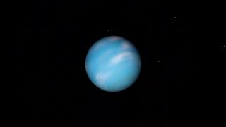 Neptune’s Disappearing Clouds Linked to the Solar Cycle