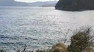Beautiful view at the beach