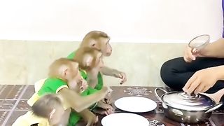 4 brothers always get along well 2