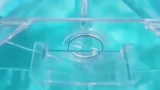 Ixtrolar 102