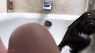 Vidéos De Chats Drôles À Mourir De Rire - Essayer De Ne Pas Rire Animaux