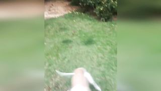 Funniest Cats And Dogs Videos ???? - Best Funny Animal Videos 2023 ???? 14