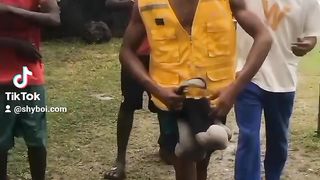 Shyboi the fighter