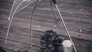 Love story video 3