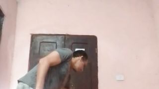 Os cachorros 2