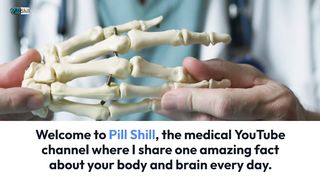 How Your Bones Are Constantly Changing and Why It Matters
