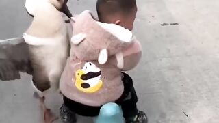 Un enfant mignon combat une grosse oie.