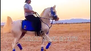 #best#top#horses#dance#2023#on#pakistan 1