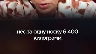 КОМЕНТАРИ : ЛАТИНИНА 6
