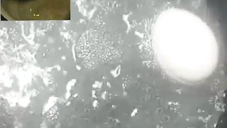 Viral Egg Hack