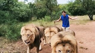 World Lion Day! Ukutula Lodge