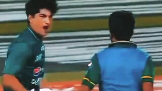 Cricket game 3