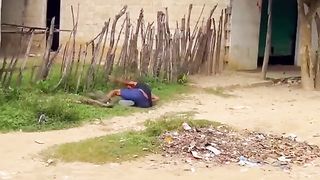 Prank the snake #prank #fails #scareprank