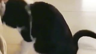 Приколи 342