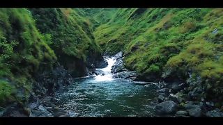 Nature trip 3