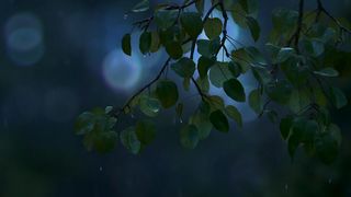 The Good Dinosaur (2015) | Raymond Ochoa, Jeffrey Wright and Frances McDormand
