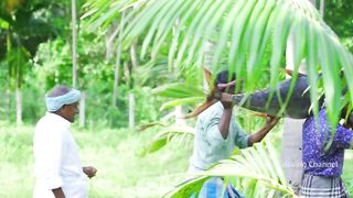 200 Pounds BIG TUNA FISH _ Tuna Fish Cutting and Cooking in Village _ Tuna Fish Steak Recipe(720P_HD).