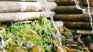 Bamboo  Water Fountain With Tibetan Singing Bowls Music _