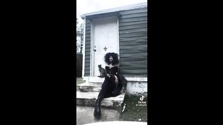 Alt TikTok Compilation 2023 #16