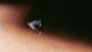 Travel in train