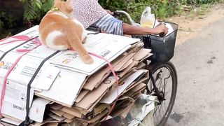 follow grandma!?pick up cardboard from garbage collection??????????????????