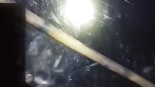 Begini cara cari untung besar dalam budidaya ikan lele
