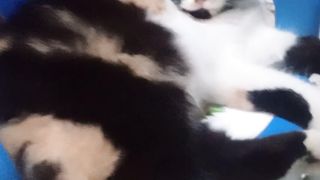 Tiduran diatas kursi