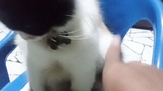Diajak bermain