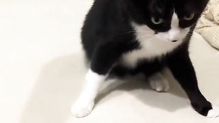 NAUGHTY FUNNY