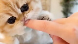 NAUGHTY FUNNY 3