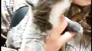Baby wolf's howl is adorable.