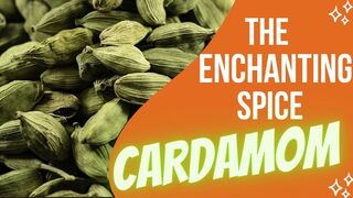 The Enchanting Spice: Exploring the Aromatic World of Cardamom
