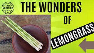 Discover the Magic of Lemongrass: Culinary and Wellness Explorations