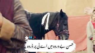 Sadam hussain 2