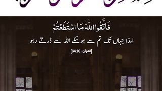 Quran , Al Quran Surah 64 Ayat 16 #viral #shorts #quran #youtubeshorts