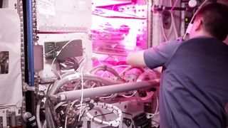 Agriculture in Space NASA First Lettuce Grown and Eaten in Space -Science Readers
