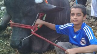 Cuteness overload 5 baba