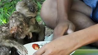 The poor monkey was very hungry. I gave him some bananas to eat and he gave me a good feeling