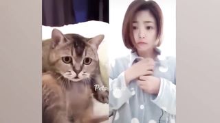 Nouveaux animaux drôles ???????? Vidéos de chats et de chiens les plus drôles ????????