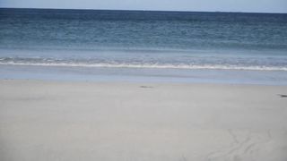 Awesome Underwater World | Pemandangan Bawah Laut