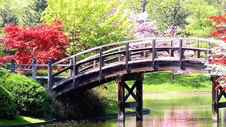 Find Inner Serenity: Music for Meditation, Relaxation, Stress Relief, and Deep Sleep