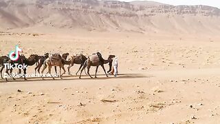 Zagora desert